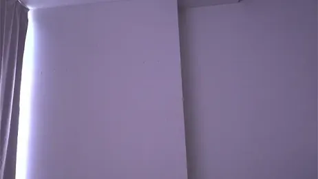 SnowNut webcam model stream image