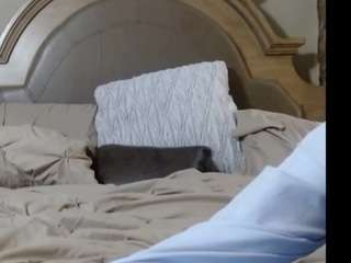 brodymagnum webcam model stream image