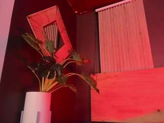 valneeko webcam model stream image