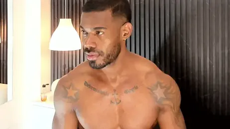 Ganiimedes webcam model stream image