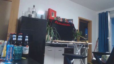 Widersacha webcam model stream image
