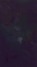 sexibeba2 webcam model stream image