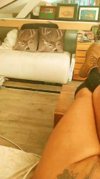 ParisTrans webcam model stream image