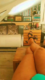 ParisTrans webcam model stream image