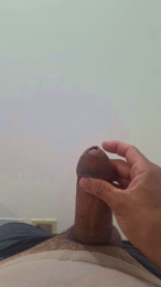 Tocce webcam model stream image