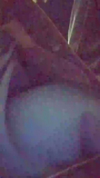 dav93001 webcam model stream image