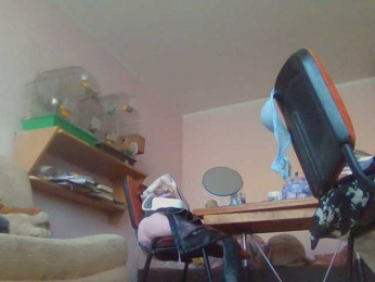 Niki1991a webcam model stream image