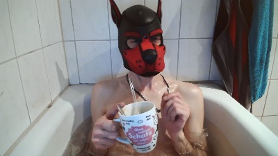 Pup_Hunter_1987 webcam model stream image