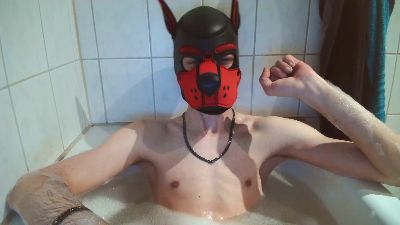 Pup_Hunter_1987 webcam model stream image