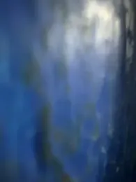MidnightOasis webcam model stream image
