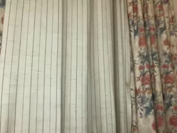 bobwig4 webcam chaturbate model stream image