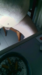 Safadogordinh webcam cam4 model stream image