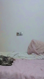 Parejatopsecret webcam model stream image
