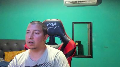 tinchome webcam model stream image