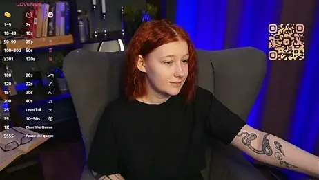 LanyFold webcam model stream image