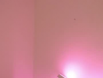nya_ri webcam model stream image