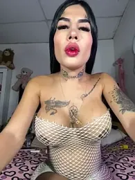 saragill323 webcam stripchat model stream image