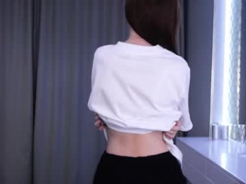 skyeriehm webcam model stream image