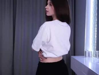 skyeriehm webcam model stream image