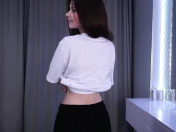 skyeriehm webcam model stream image