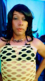 susantrans webcam model stream image