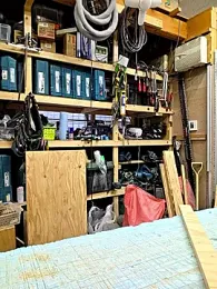 da--------i webcam model stream image