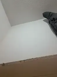 BotaPraEsguircha webcam model stream image