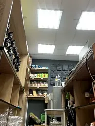 AlishaOfThorns webcam model stream image