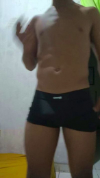 Avastmill webcam model stream image