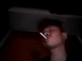 ah_ha webcam model stream image