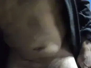 Pol8822 webcam model stream image