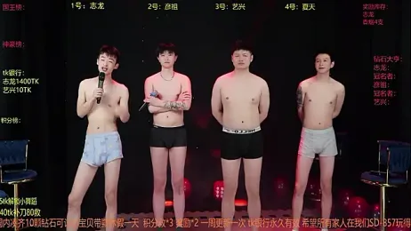 SD-857 webcam model stream image