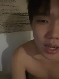 zcdda webcam model stream image