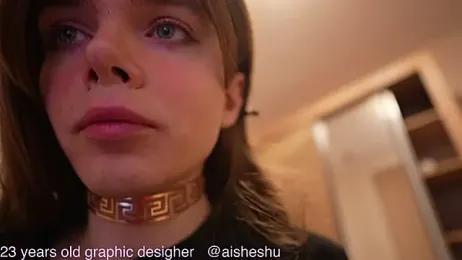 your_aishe webcam model stream image