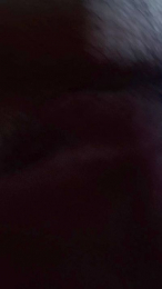 joss_1 webcam model stream image