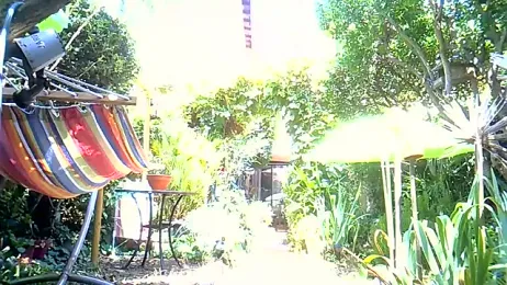 grosbbh webcam model stream image