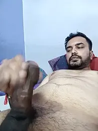 Indian_bull_telugu_24 webcam model stream image