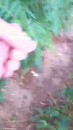 kinkycouple4mo4 webcam model stream image