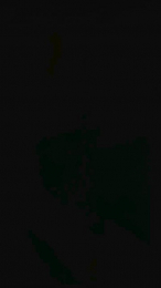 Instintosalvaje webcam model stream image
