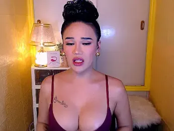 transSTARprincess webcam model stream image