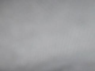 Bianca Alluring webcam model stream image
