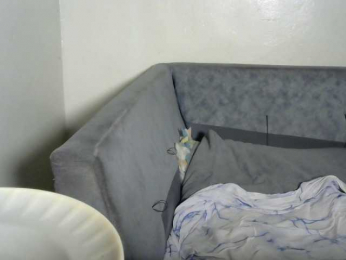 Juggle-assie webcam model stream image