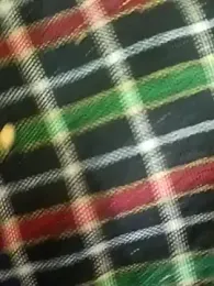 Soniya_089 webcam model stream image