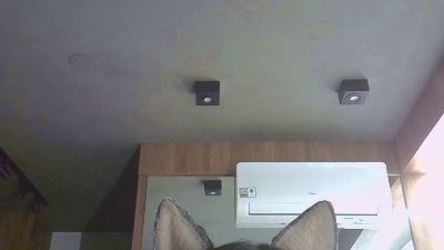 SkinnyKittenCam webcam model stream image