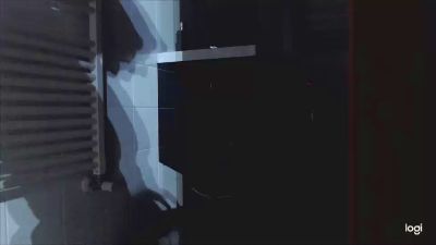 Mrhidemissjachi webcam model stream image