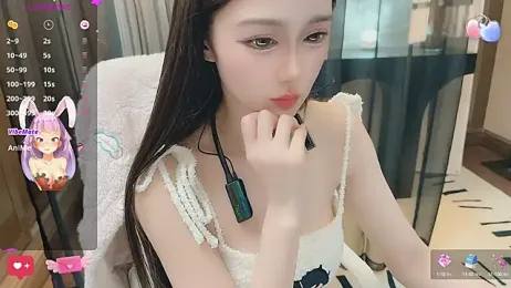 Aisi-20 webcam model stream image