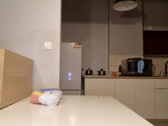 thifa2x webcam model stream image