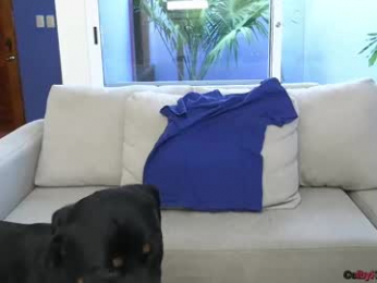 colbyknox webcam chaturbate model stream image