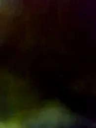 RaoufDz17cm webcam model stream image