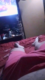 matute79 webcam model stream image